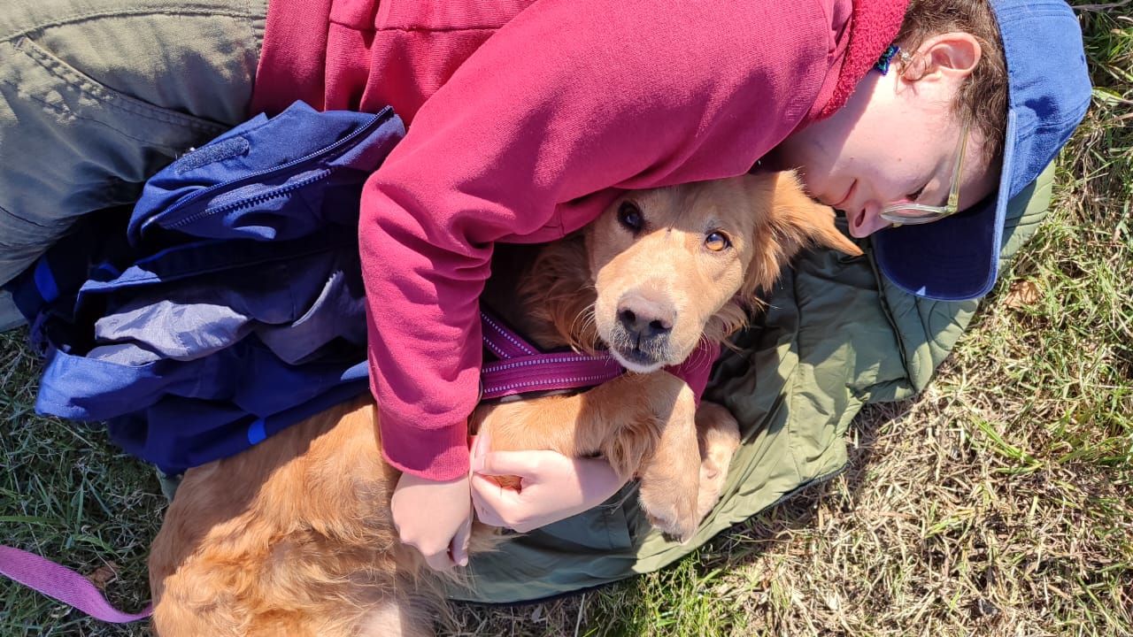Más que una mascota: ¿Pueden los perros ayudar a los adolescentes a superar el estrés social?