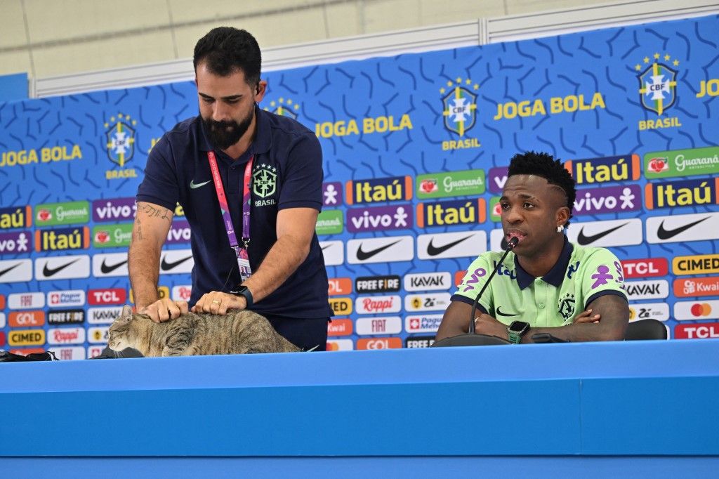 Arrojaron por el aire a un gato que irrumpió en la conferencia de un jugador brasileño