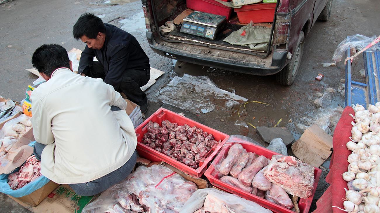 Wuhan, la ciudad china donde nació Covid-19, prohibió venta y consumo de animales salvajes