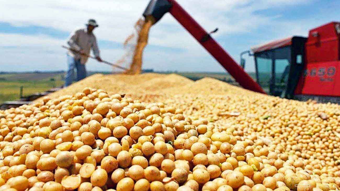 Dólar soja: el campo advierte que será difícil llegar a 5 mil millones