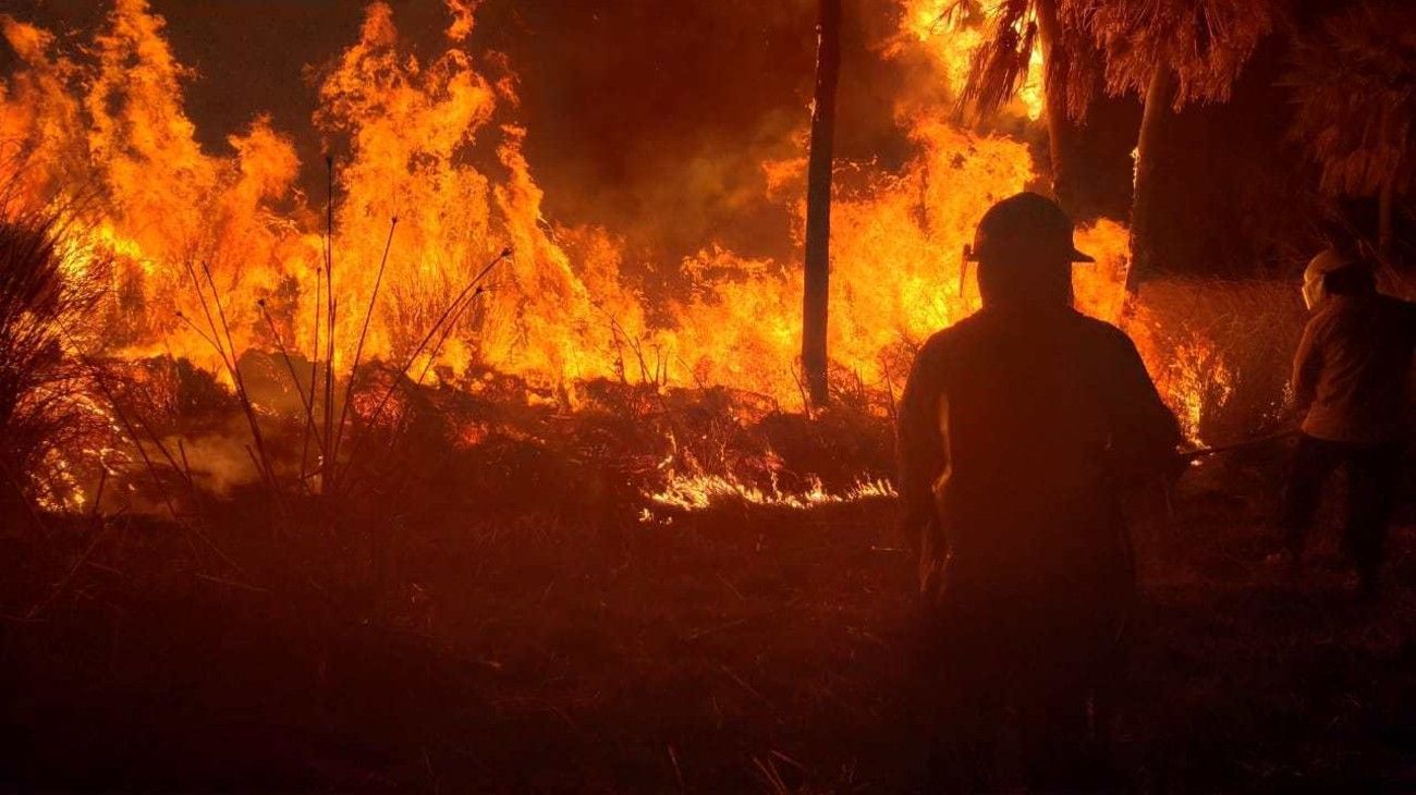 Sergio Busso, ministro de agricultura cordobés: "El daño de los incendios es tremendo"