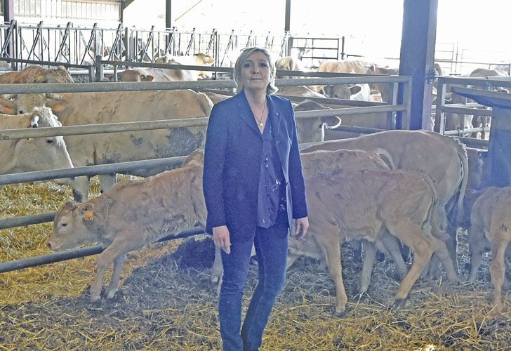 Tras el Brexit y Trump, la fractura entre centro y periferia reapareció en Francia