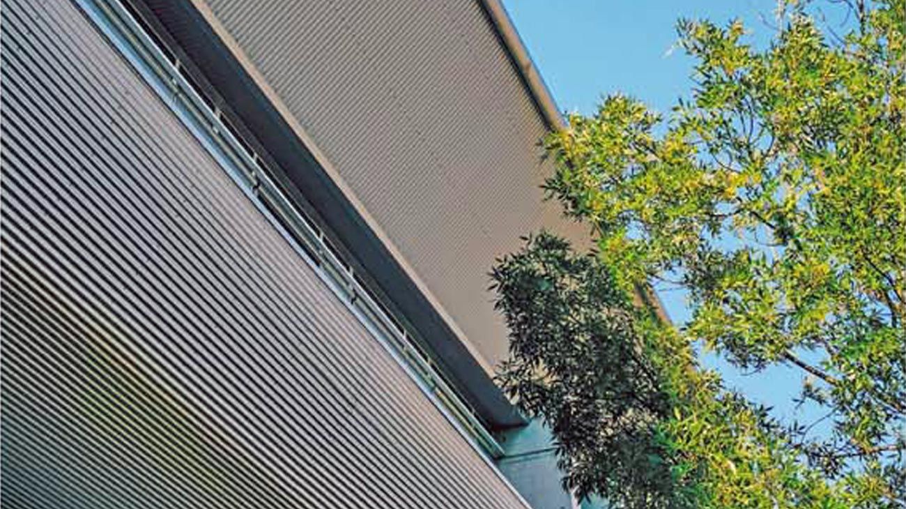 ESG: Claves para competir en forma sostenible (incluso en Argentina)