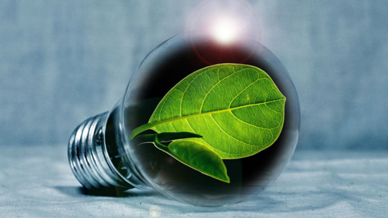En el año de la pandemia, la propiedad intelectual llama a "innovar para un futuro verde"