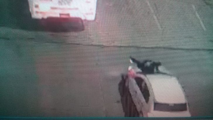 VIDEO | Córdoba: Un conductor de Uber evadió un control y arrastró a un policía en el capot por varias cuadras