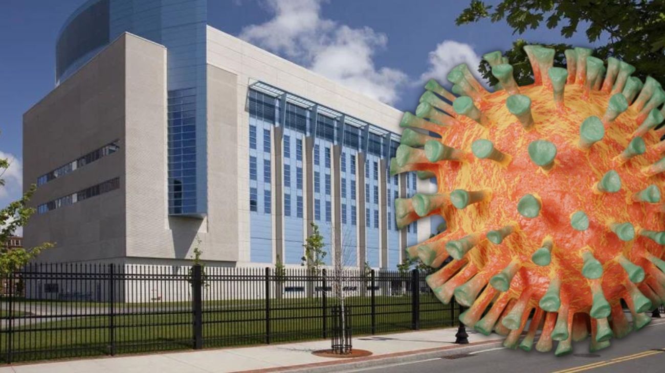 Un laboratorio de EEUU "juega con fuego" al crear una nueva cepa del Covid, mucho más letal