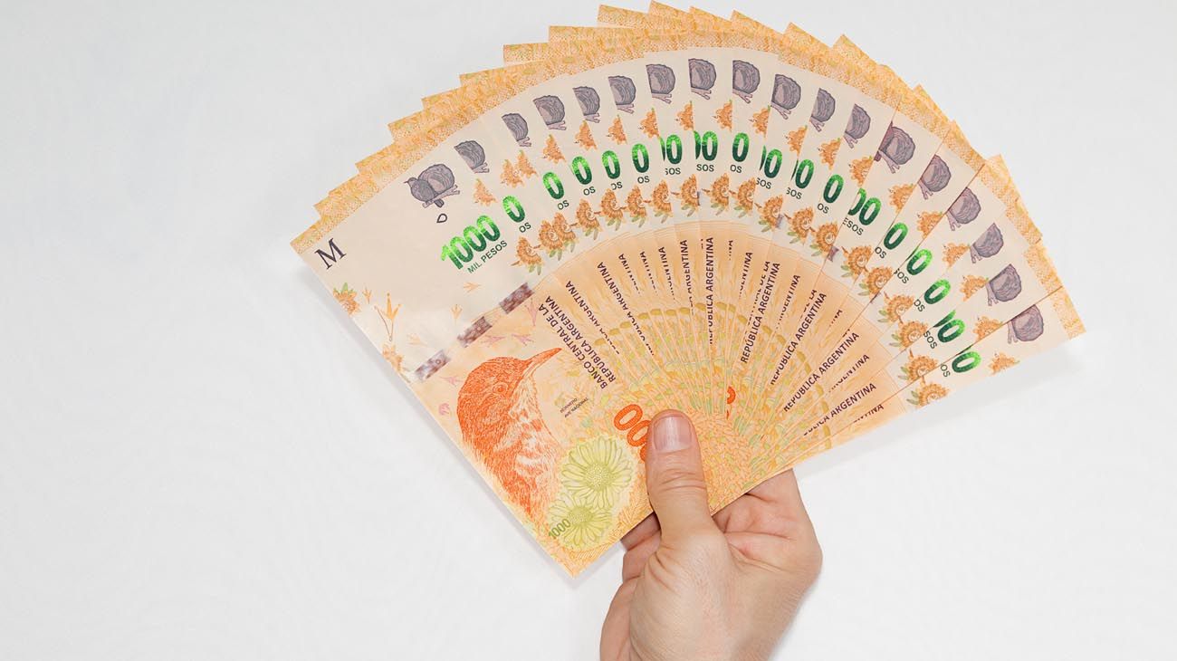 Cuándo cobro el bono de $ 18.000 de ANSES: calendario de pagos para hoy 24 de junio
