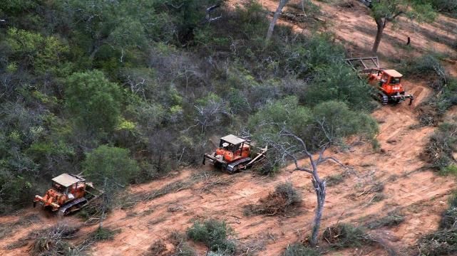 Desmontes en Salta: "Los proyectos están en proceso de evaluación"