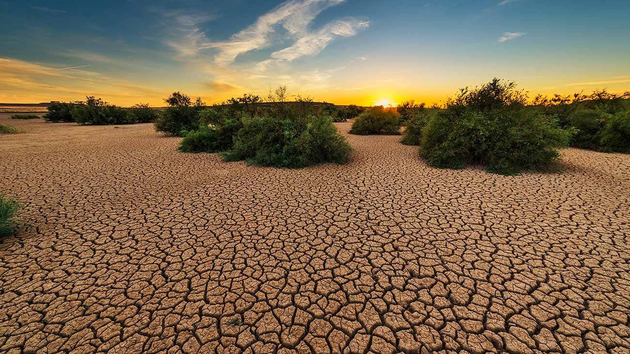 Alerta climática global: advierten que la llegada de "Súper El Niño" podría ser similar al desastre de 1877