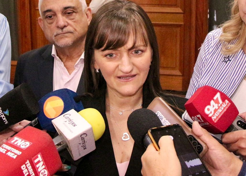 Schneider contra Capitanich: “Décadas de mentiras, no hizo el segundo puente ni la tarifa diferencial”