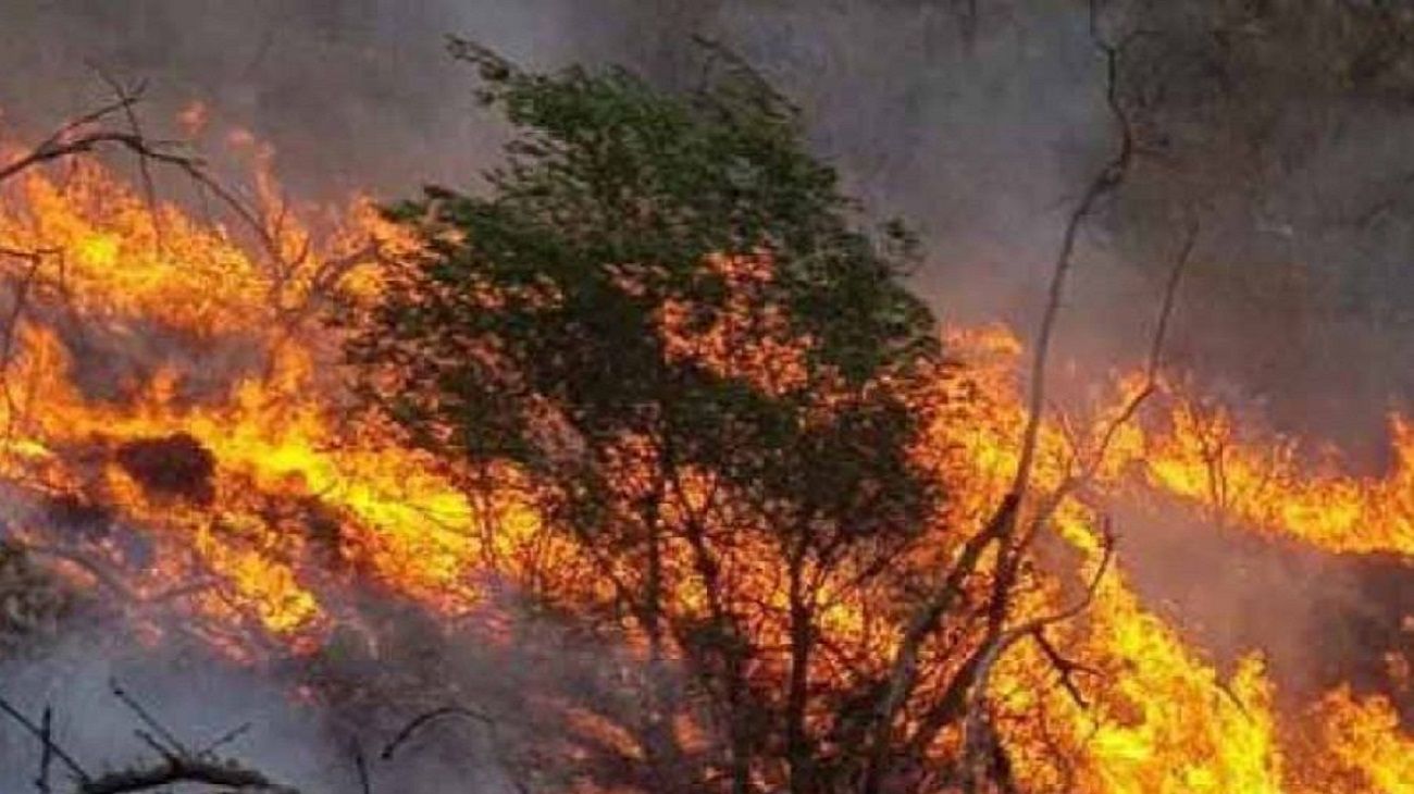 ¿Incendios interminables?