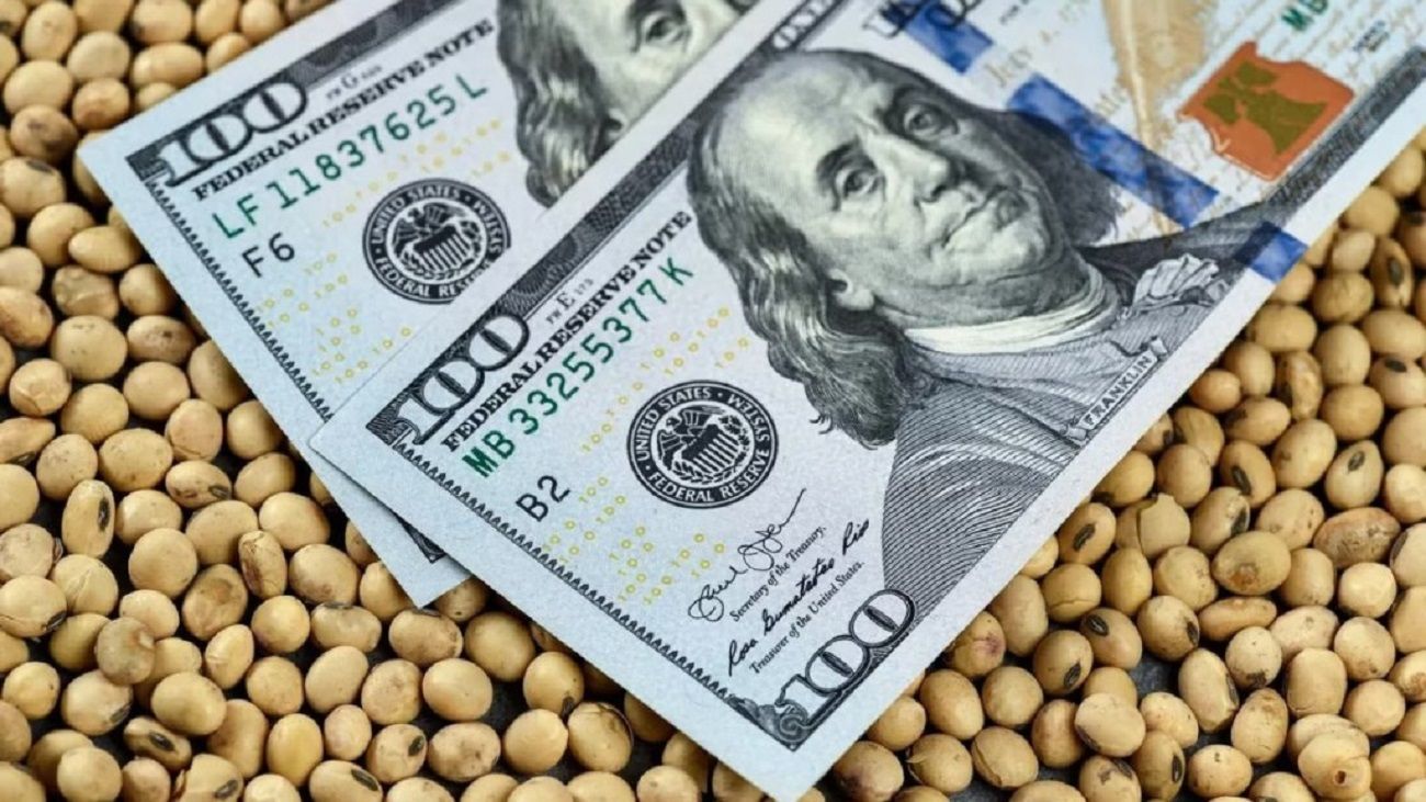 Según un economista, “la caída en el precio de la soja significó una pérdida para Argentina de USD 5.000 millones”