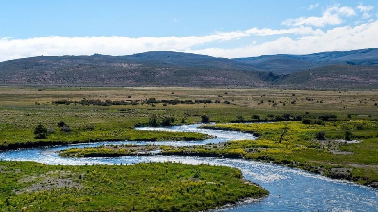 Los dueños de la tierra: quienes son los 20 mayores terratenientes de la Argentina