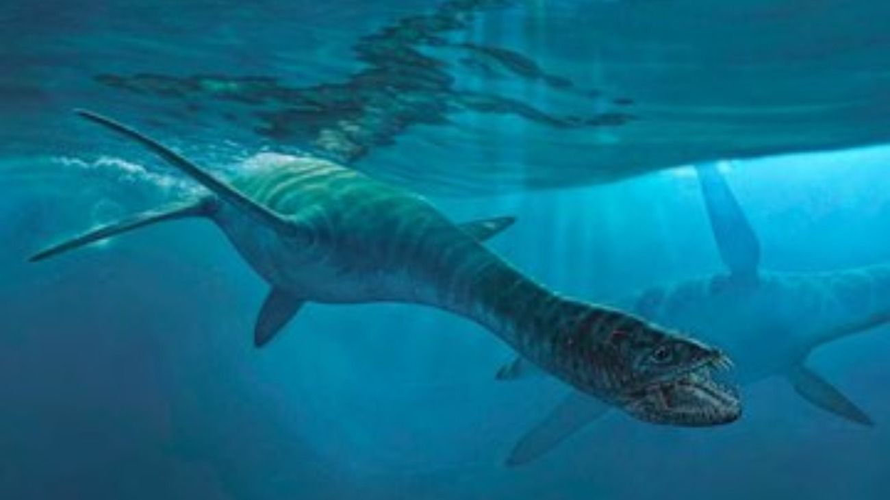 Hallan restos de un dinosaurio similar al Monstruo del Lago Ness