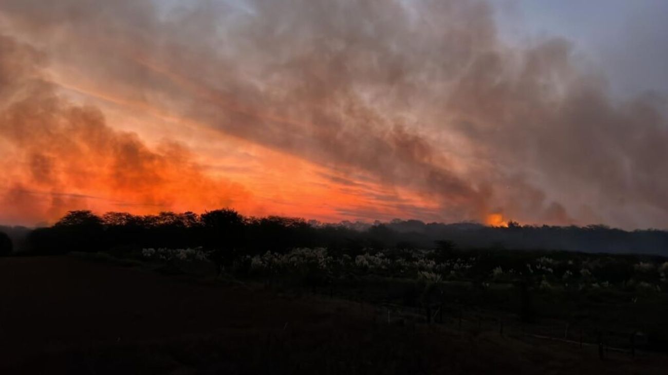 Ex funcionario de Pilar: "El fuego no se inició en mi campo, primero explotaron las torres de alta tensión y después comenzó el incendio"