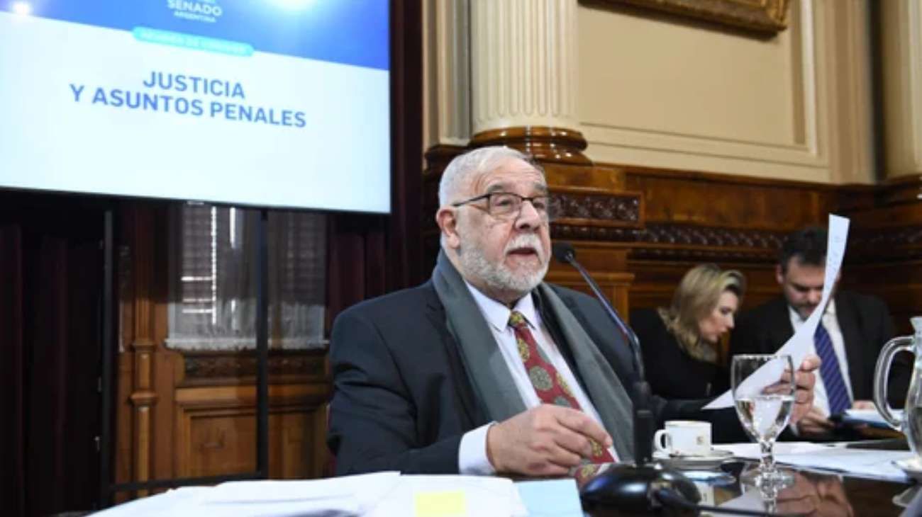 El Senado retoma el debate en torno a las penas por sustracción de menores