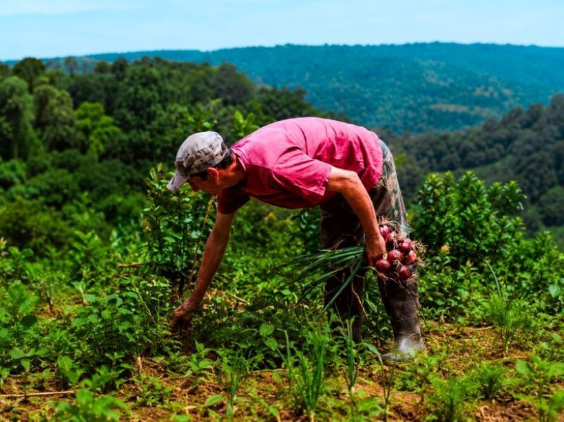 Misiones: cómo es "Ahora Chacra", el nuevo programa de reintegros en la compra de bienes e insumos productivos