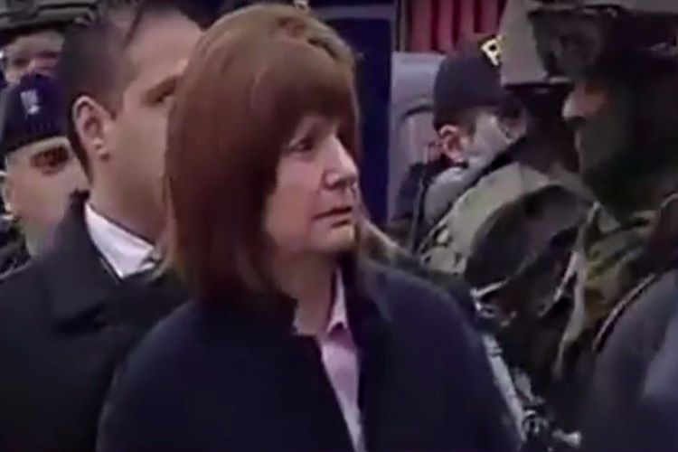 Un borracho trepado a un árbol interrumpió un acto de Patricia Bullrich
