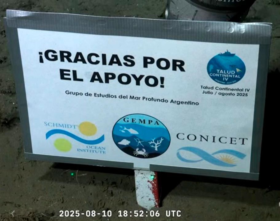 El CONICET se despidió de algas, moluscos y "estrellas culonas": cómo fue el último streaming en vivo