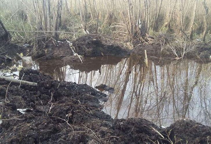 Confirman que hallaron "restos humanos" en la avioneta caída