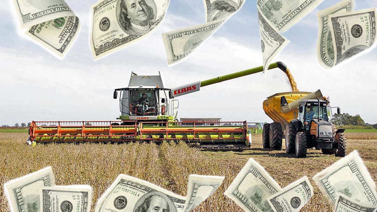 ¿Qué volumen de negocios agrícolas se pueden esperar tras la baja de las retenciones?