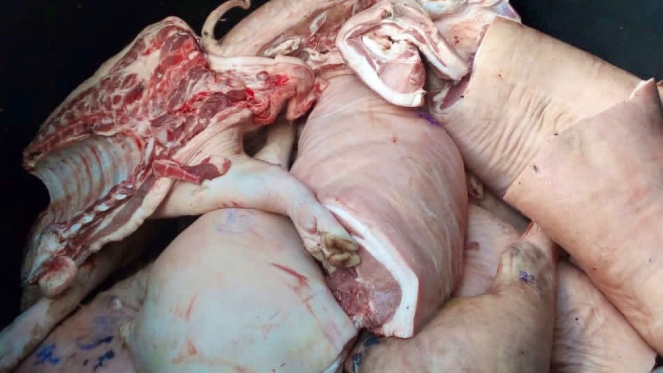 Decomisan 22 toneladas de carne de cerdo no aptas para el consumo