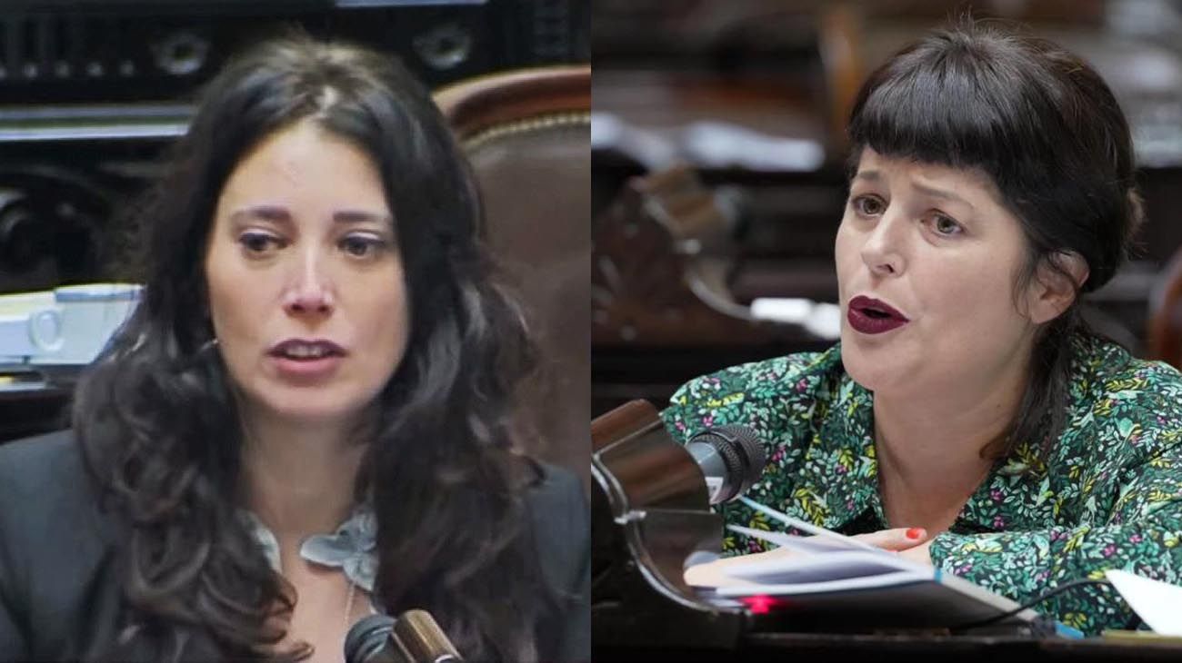 "Antisemita": una diputada del PRO acusó a su par de Unión por la Patria de utilizar "sionista" como insulto