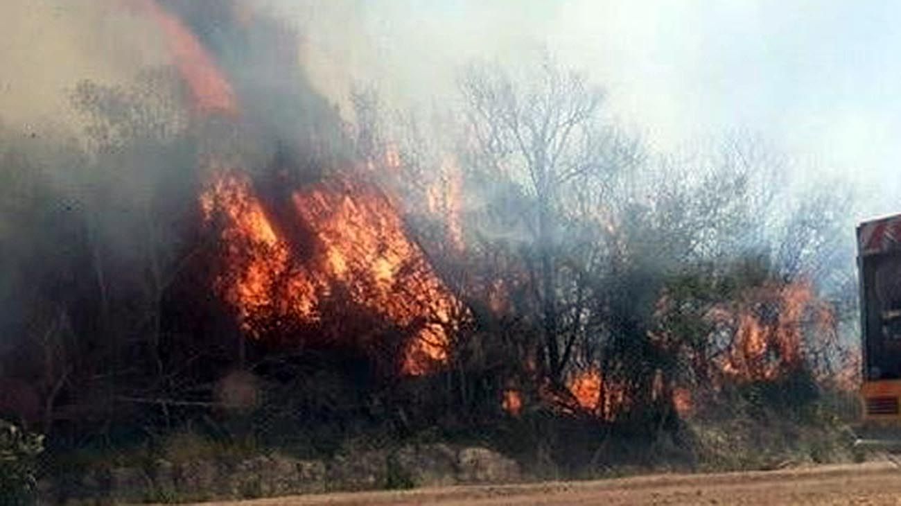 Corrientes: alarmantes incendios intencionales en Esteros del Iberá