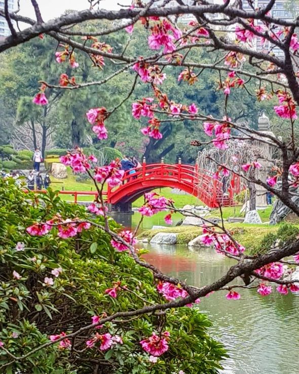 El Jardín Japonés, un legado de amistad entre ambas naciones