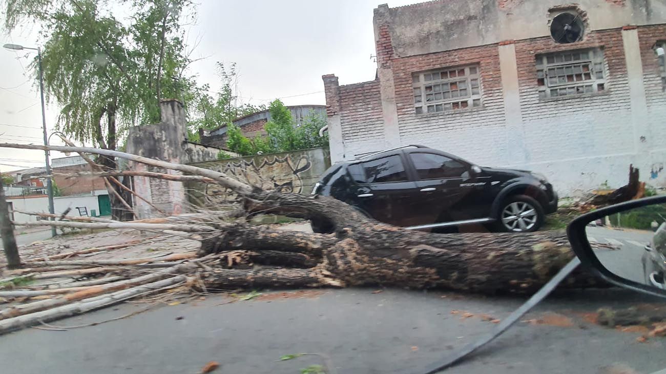 Alerta del SMN en medio país por vientos que podrían alcanzar los 80 km/h