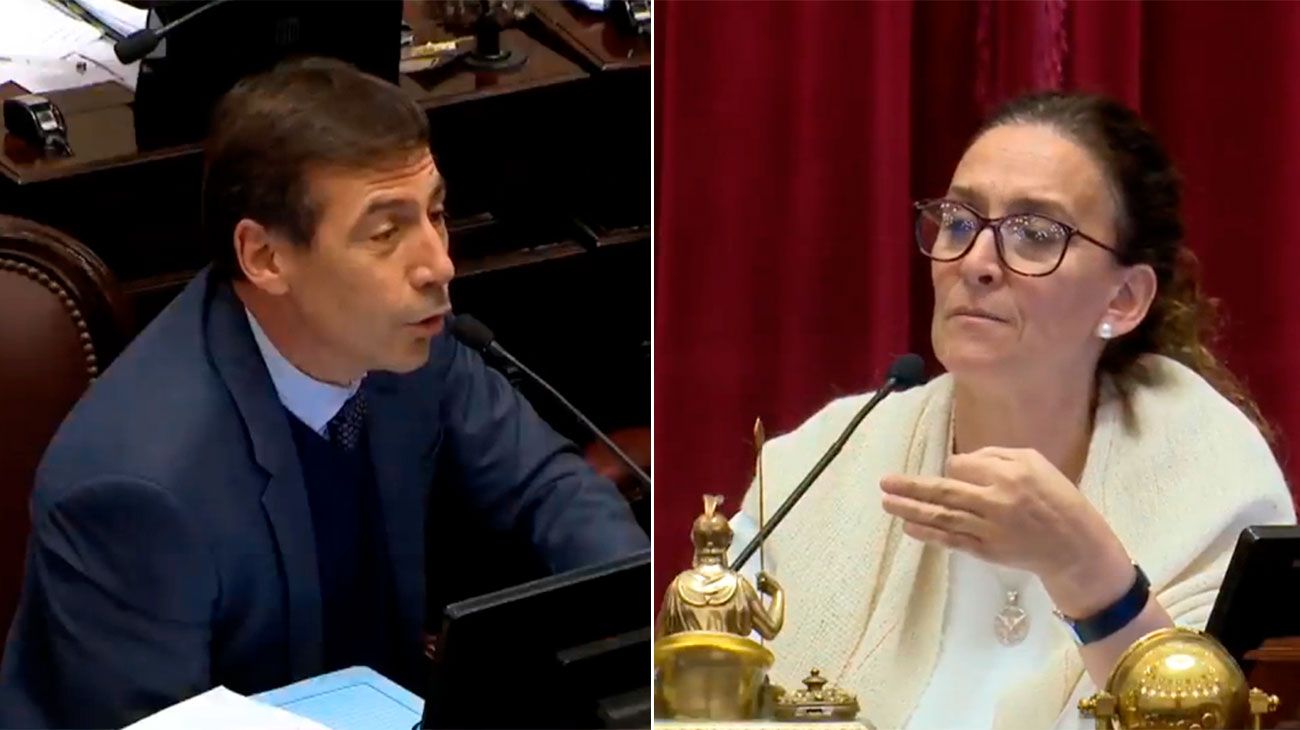 En pleno debate Michetti insultó a Naidenoff: "Sos un pelotudo, no rompas las pelotas"