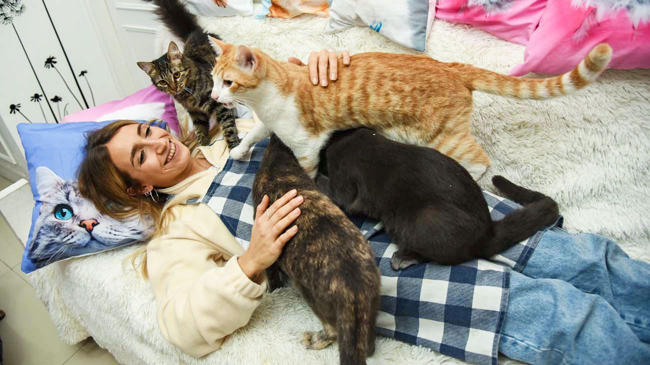 Cómo funciona el primer “Gato Café” porteño que abrió sus puertas en el barrio del Abasto