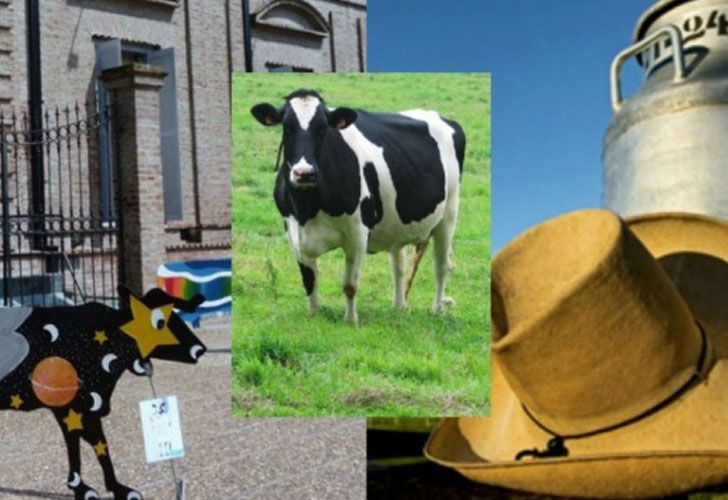La Ruta de la Leche en los campos santafesinos