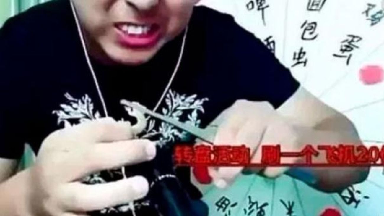 Youtuber chino comió insectos venenosos para ganar seguidores y perdió la vida
