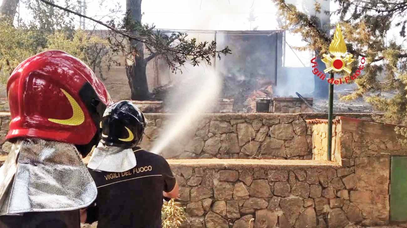 Calor récord e incendios sin control por el cambio climático