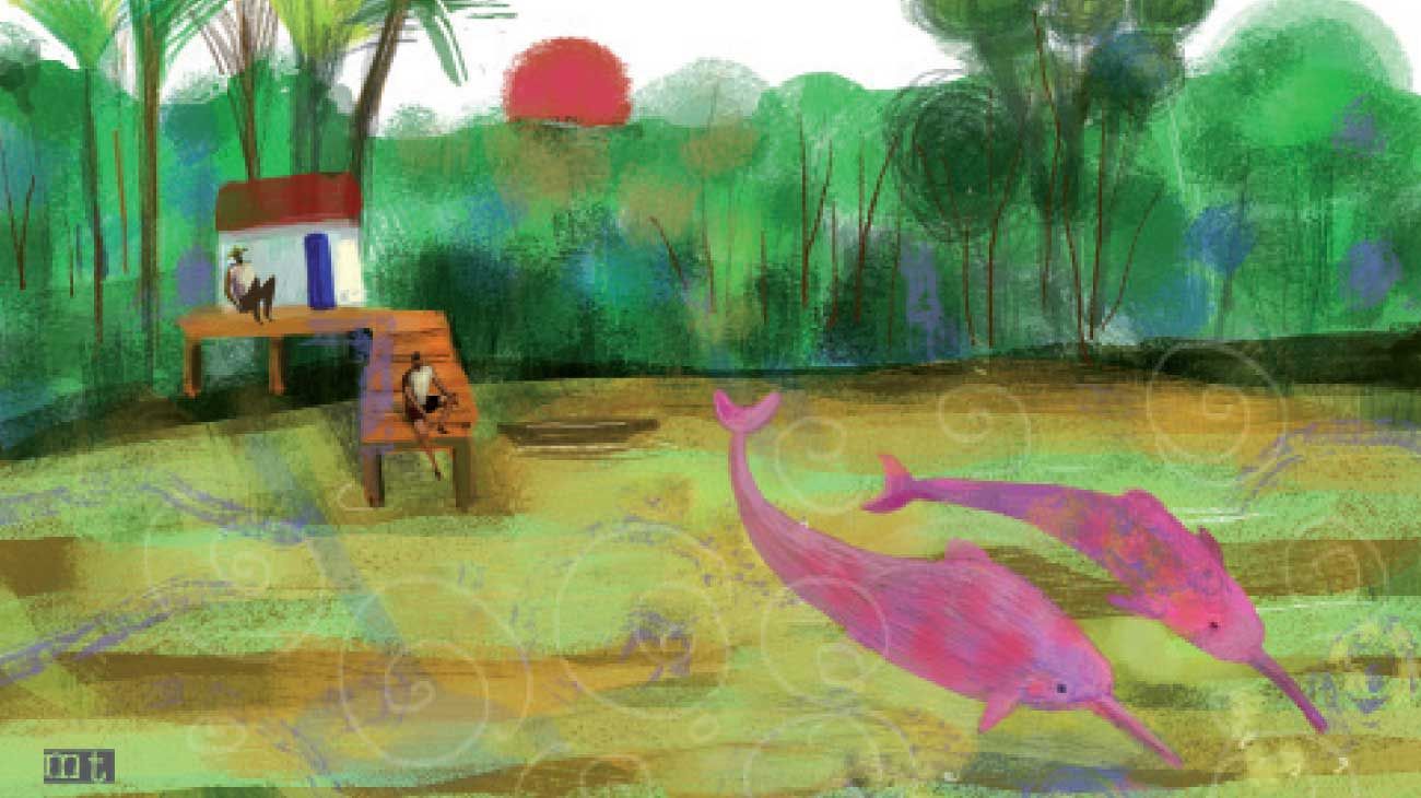 Delfín Amazonas