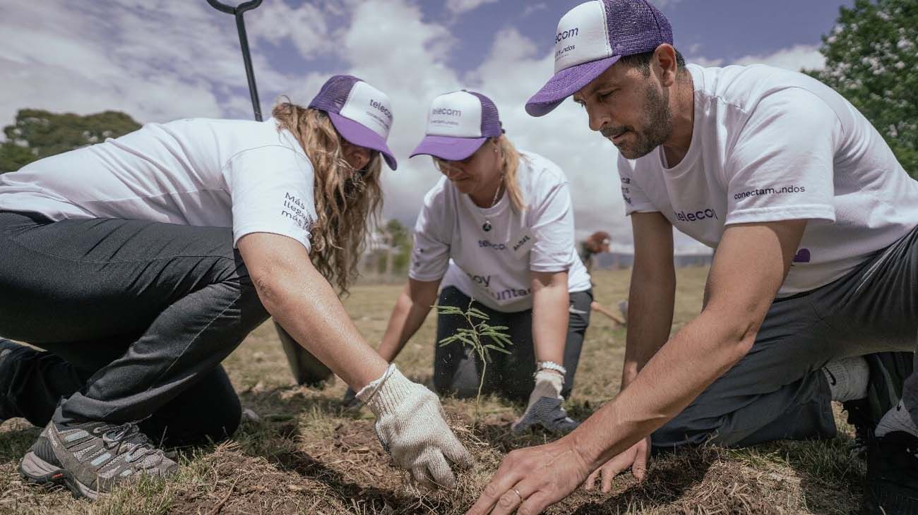 Telecom aportó más de 6500 árboles nativos como parte de su gestión ambiental