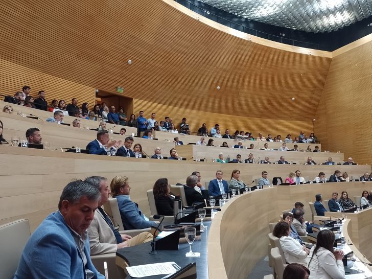 Unicameral: la Cámara delegó en Prunotto la integración de las comisiones