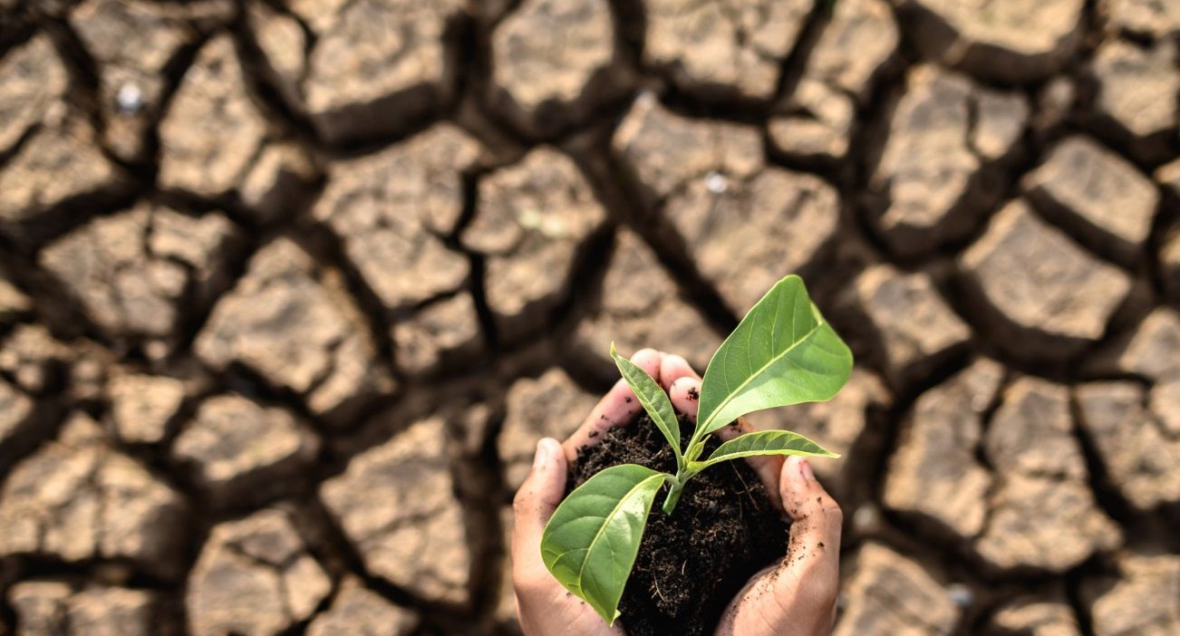 Cuáles serán las consecuencias del cambio climático actual en los próximos años