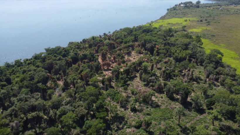 Misiones: el Ministerio de Ecología realizó operativos de control forestal en varias localidades