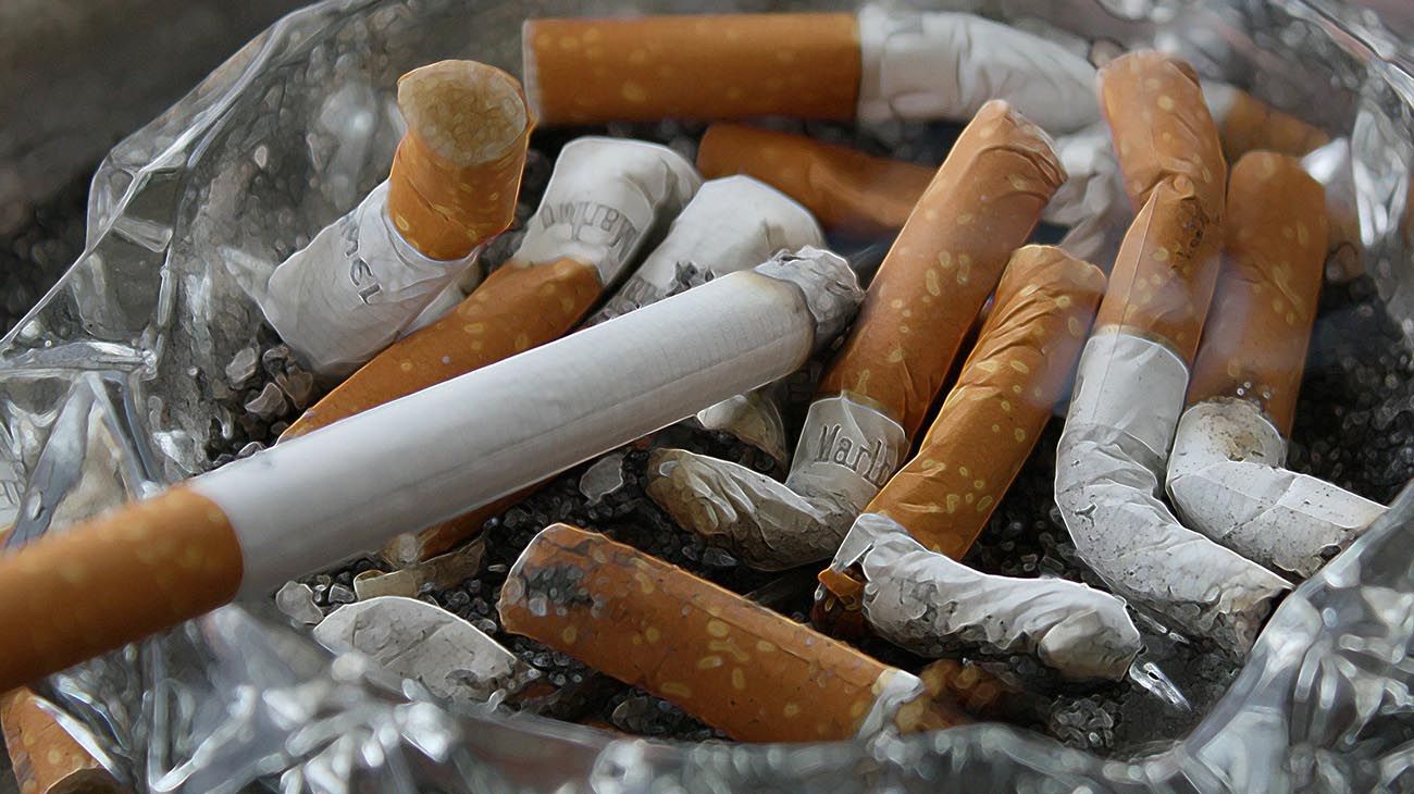 El tabaco provoca un desastre ambiental y la OMS dijo "el que rompe paga"
