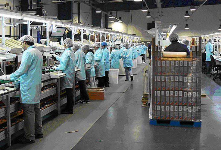 Desempleo, una catástrofe vital