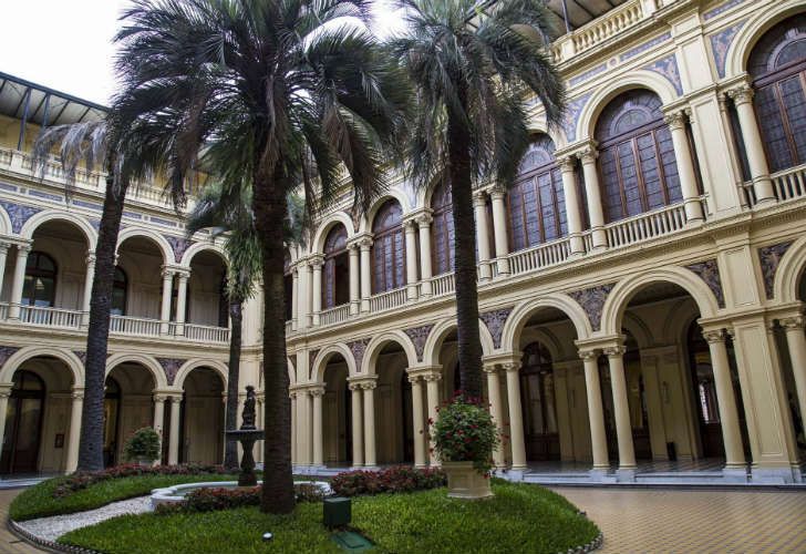 El Gobierno gastará 235 mil pesos en una palmera para Casa Rosada