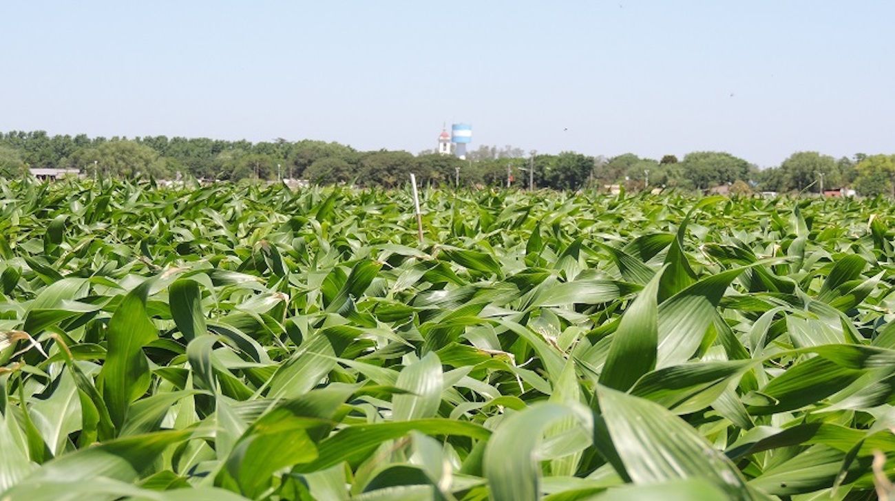 La Mesa de Enlace ratificó el paro del campo, pese al "gesto" del Gobierno