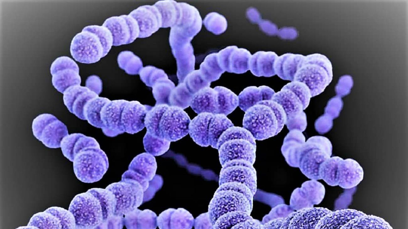 Confirman en Río Negro un sexto muerto por la bacteria del estreptococo