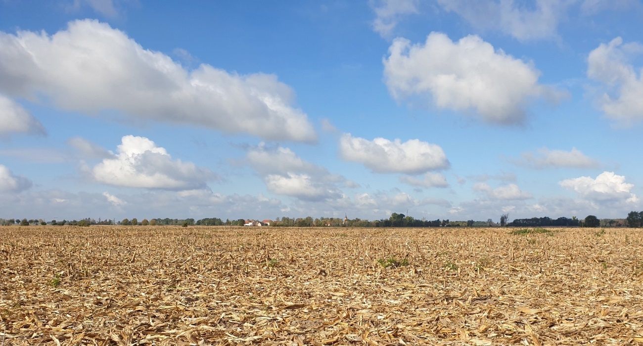 Al campo le cuesta superar las secuelas de la sequía y la falta de financiamiento