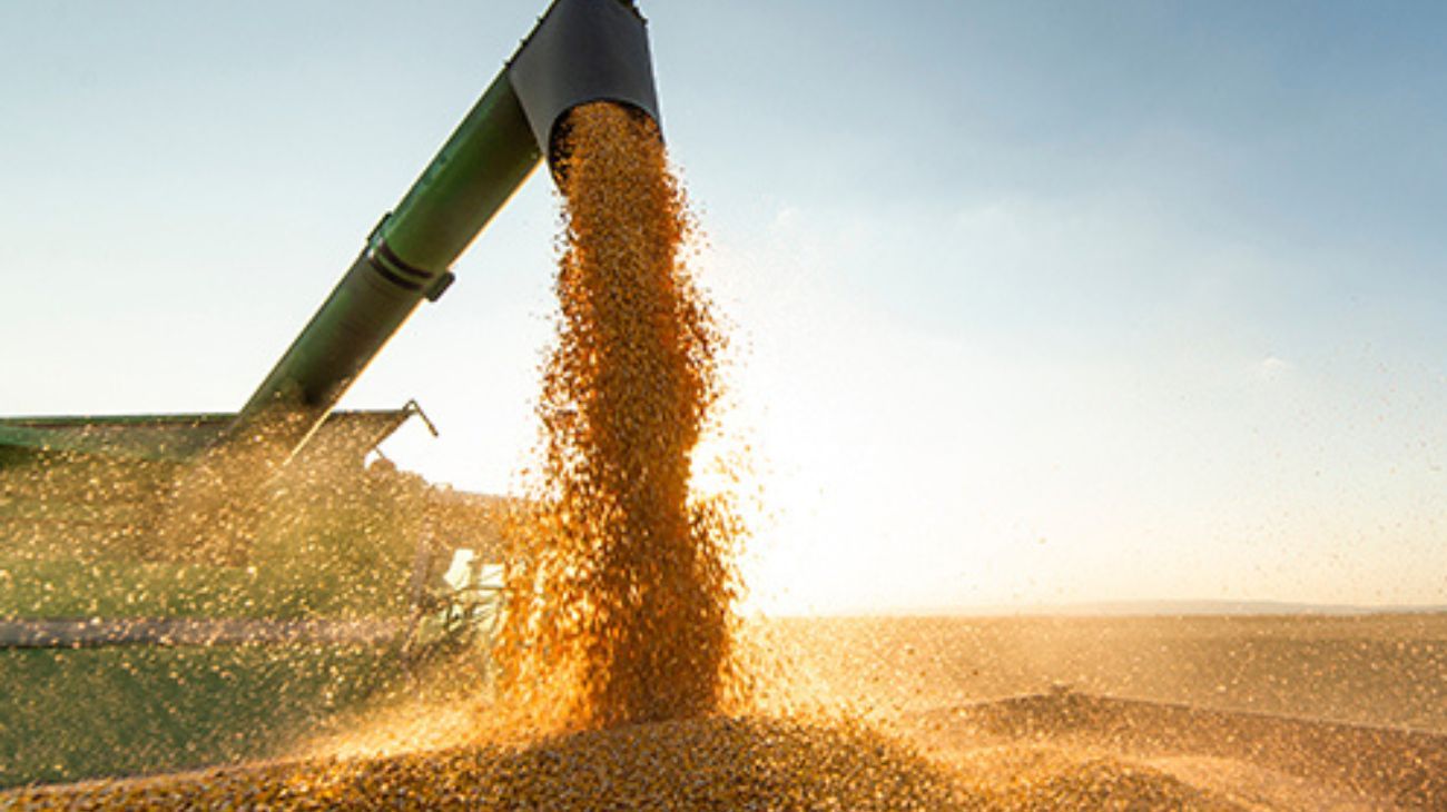 Las cooperativas representan el 28% de la producción de Argentina