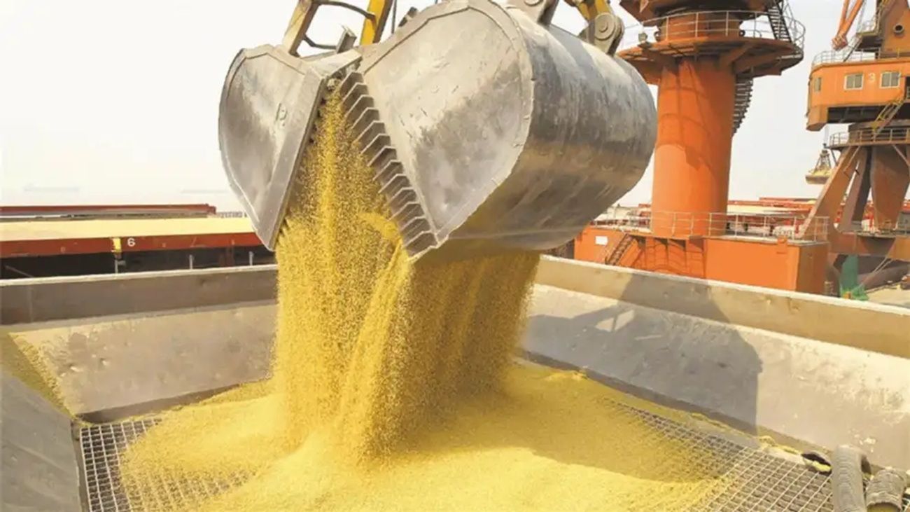 China dejó de importar soja estadounidense: “Los productores estadounidenses están sufriendo ese descuento"
