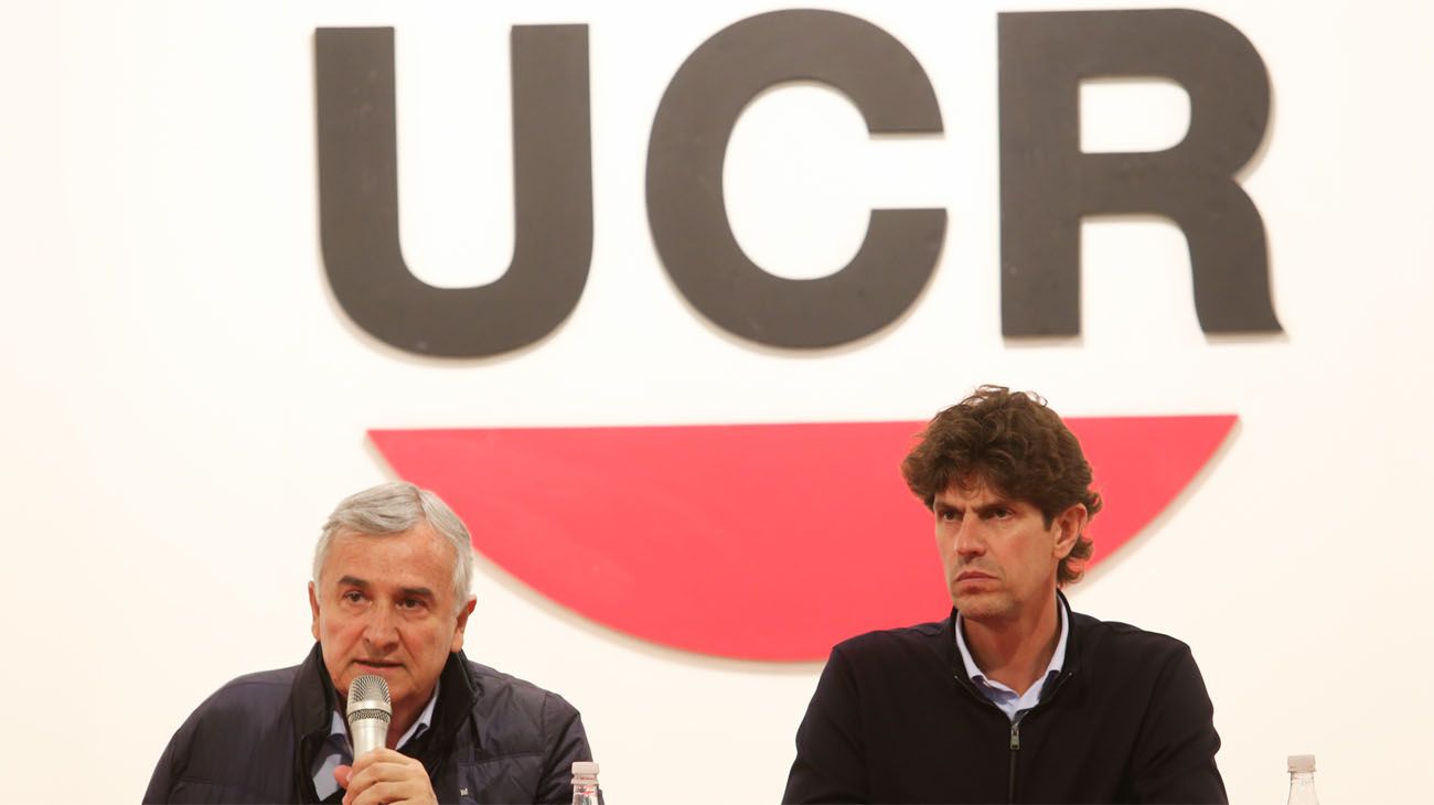 Día 330: ¿Por qué Milei quiere destituir a la UCR?