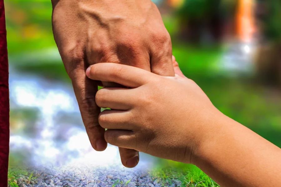 Refuerzo de ANSES: cómo acceder al pago único de $401.000 por adopción